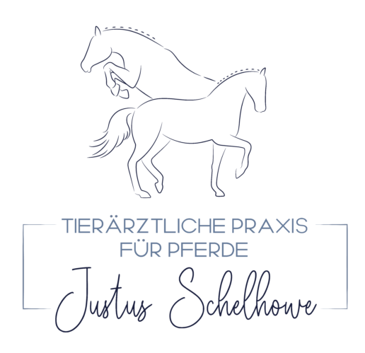 Logo der Tier&auml;rztlichen Praxis f&uuml;r Pferde Justus Schelhowe