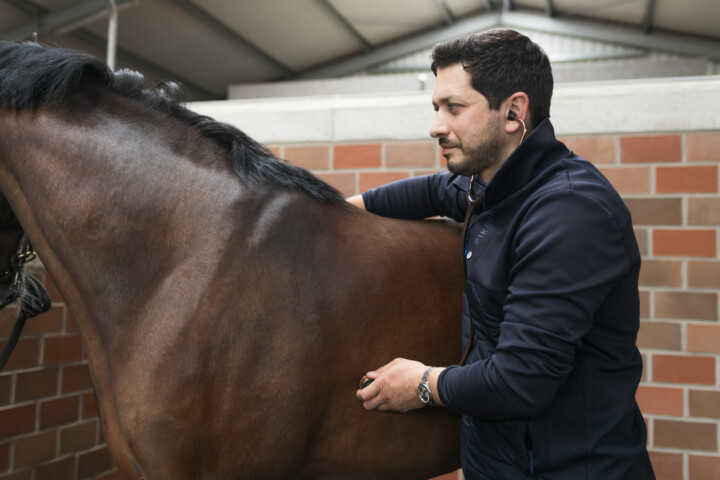 Tierarzt Justus Schelhowe hört ein Pferd ab
