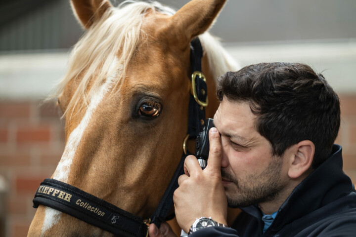 Tierarzt Justus Schelhowe untersucht ein Pferdeauge